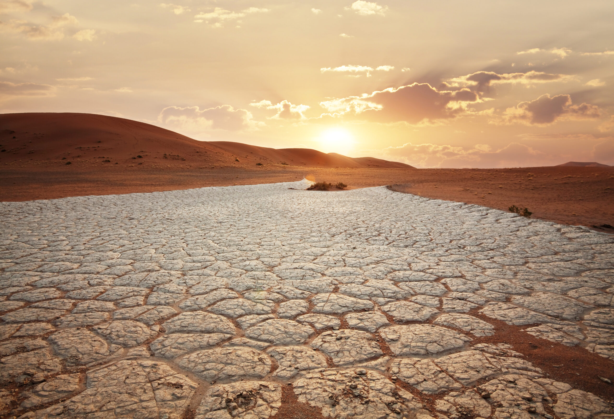 Drought, green maintenance